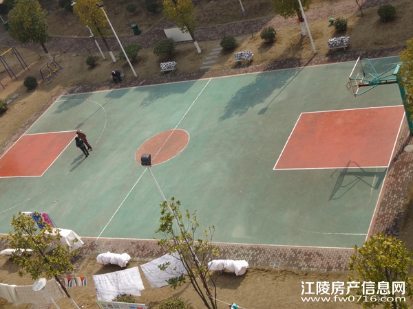 ����������ֻ�԰С��