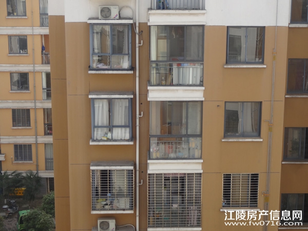 ����������ֻ�԰С��