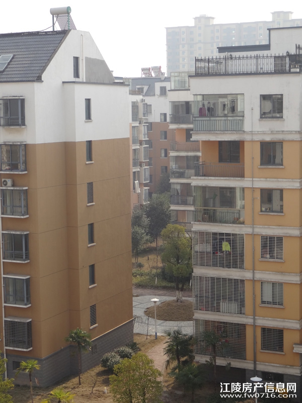 ����������ֻ�԰С��