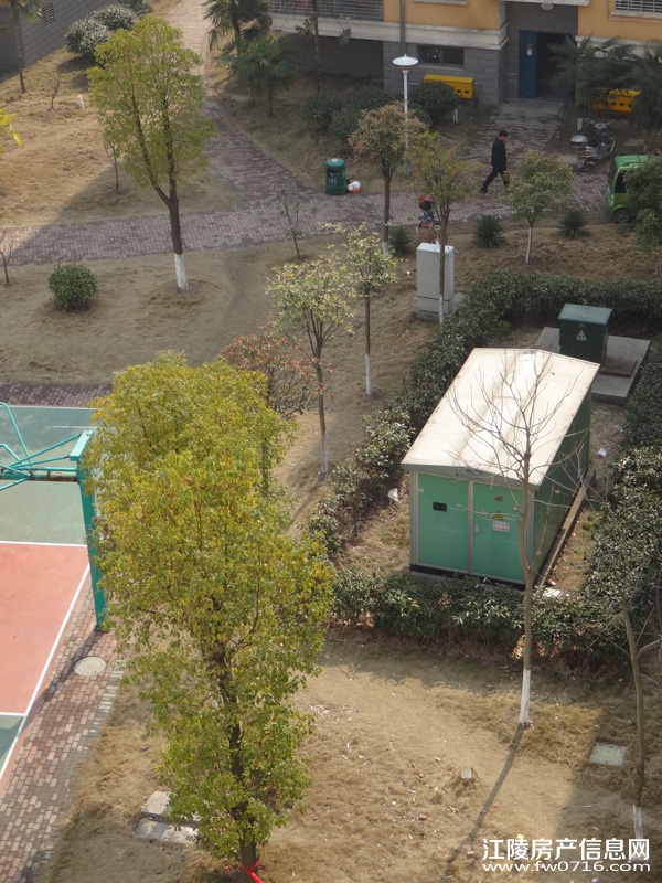 ����������ֻ�԰С��