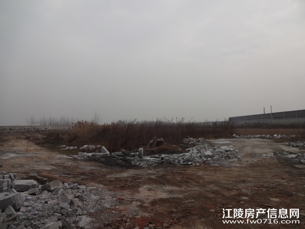 ���꾣������¥��