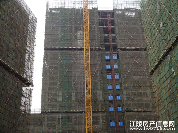 ���꾣������¥�̽����չ(��)