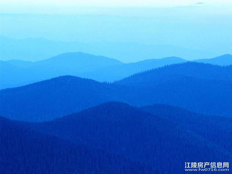 ��������˽լ������ǰԺ