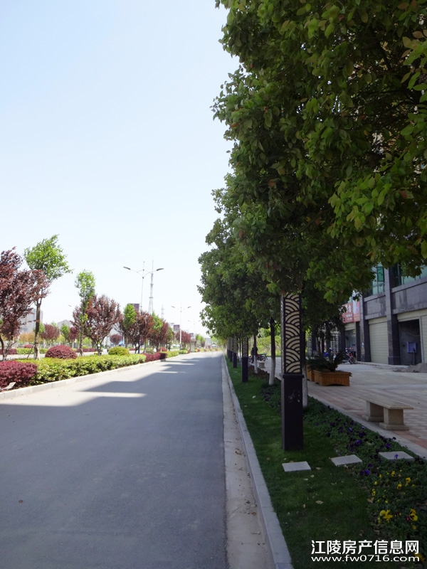 ���������˽�����ͥ