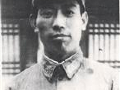 �����н����ؽ�����ʷ�������