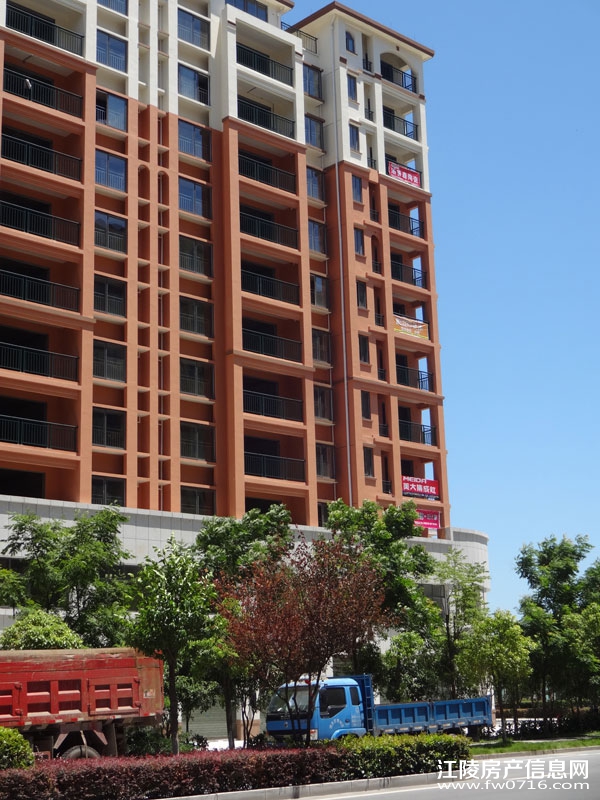 �����Ѩ���ֻ�԰С��