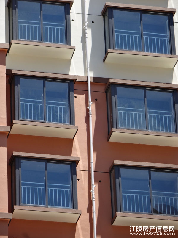 �����Ѩ���ֻ�԰С��