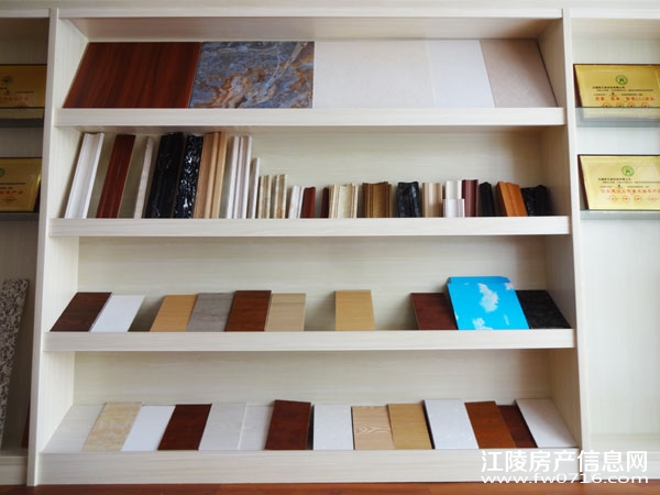 ����ŵ����˹��ʼ���ǽ��ϵͳ