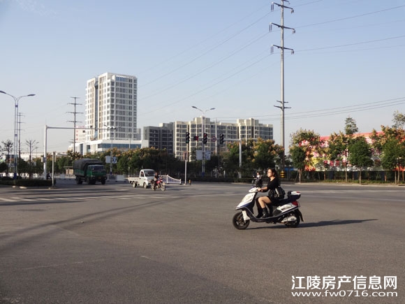 ���꾣������