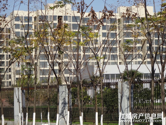 ���꾣������