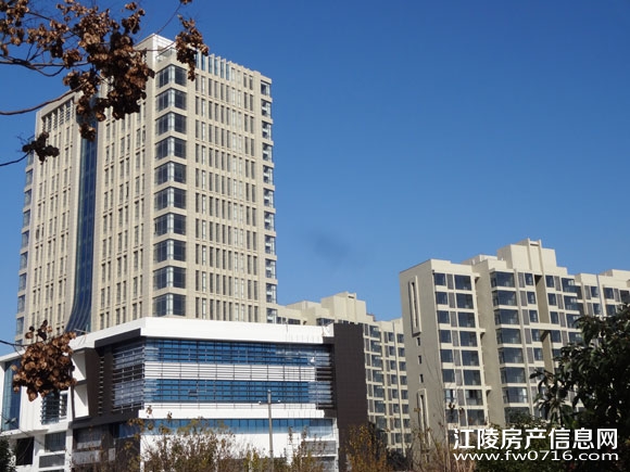 ���꾣������