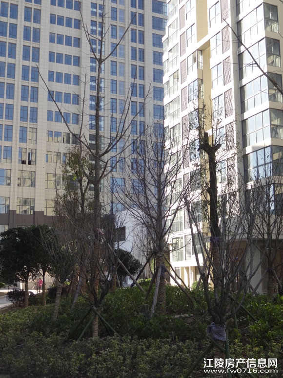 ���꾣������