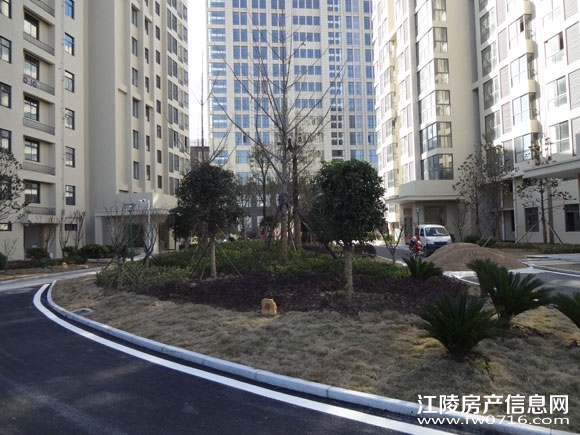 ���꾣������