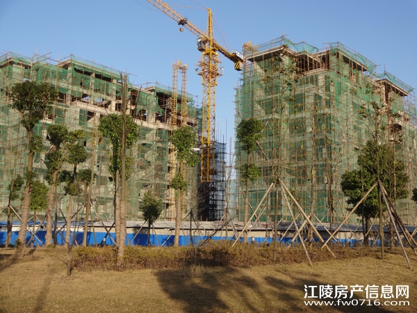 �����������Ǳ���