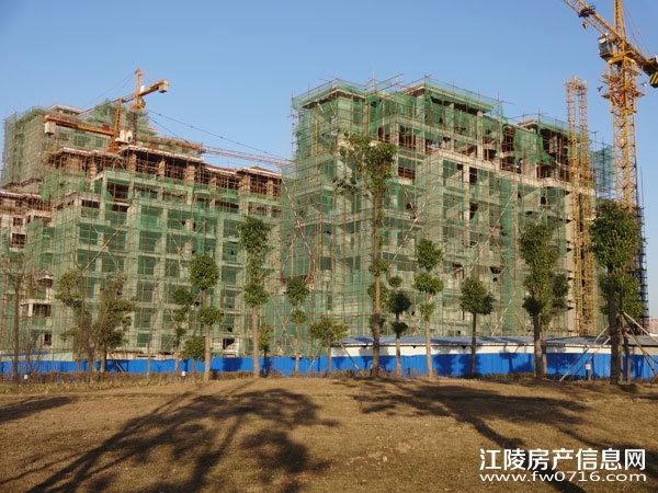 �����������Ǳ���