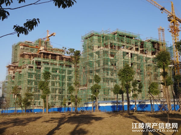 �����������Ǳ���