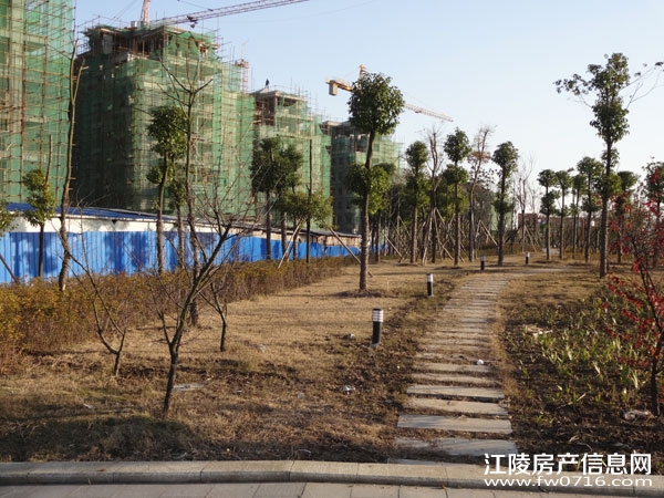 �����������Ǳ���