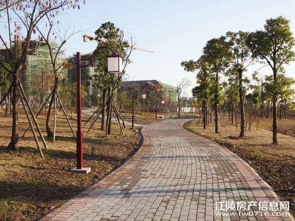 �����������Ǳ���