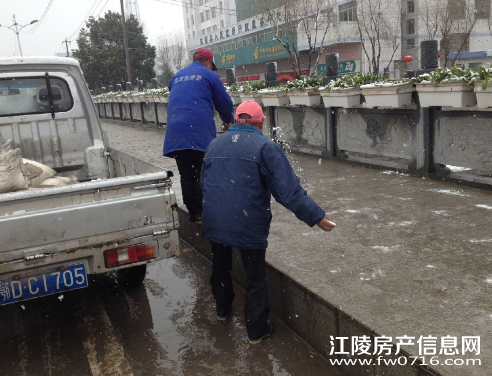 ����ǹֶܾԳ��������������γ�ѩ����