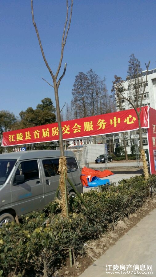 �������׽緿����