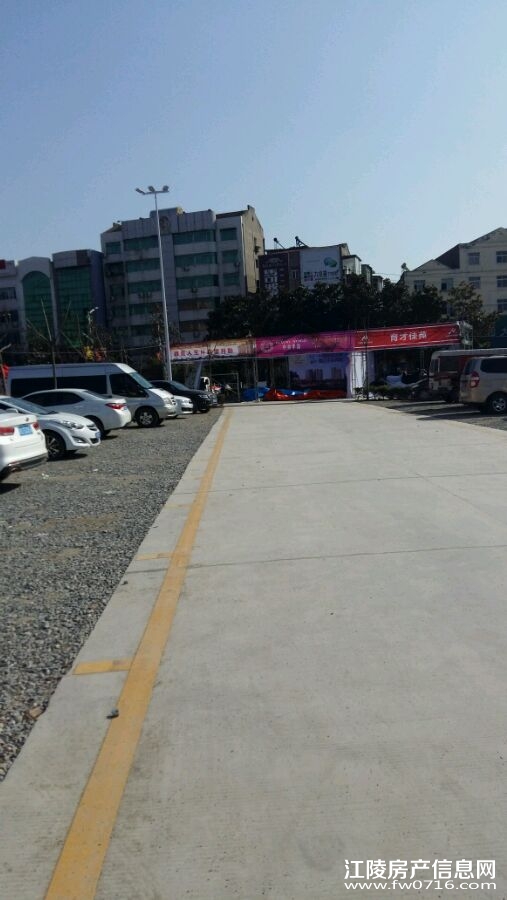 �������׽緿����