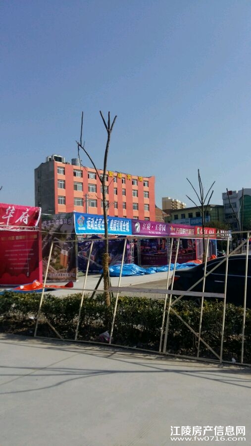 �������׽緿����