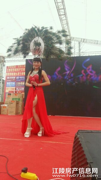 �������׽緿����