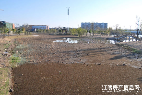 �����������Ǳ�������Ԩ��ʪ�ع�԰