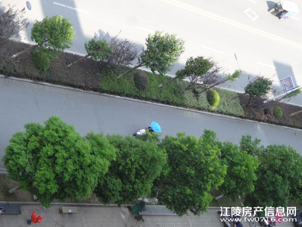 �����ذ��ֻ�԰