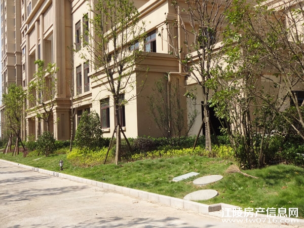 �������ݽ����Ѩ�Ͱ�����뵺