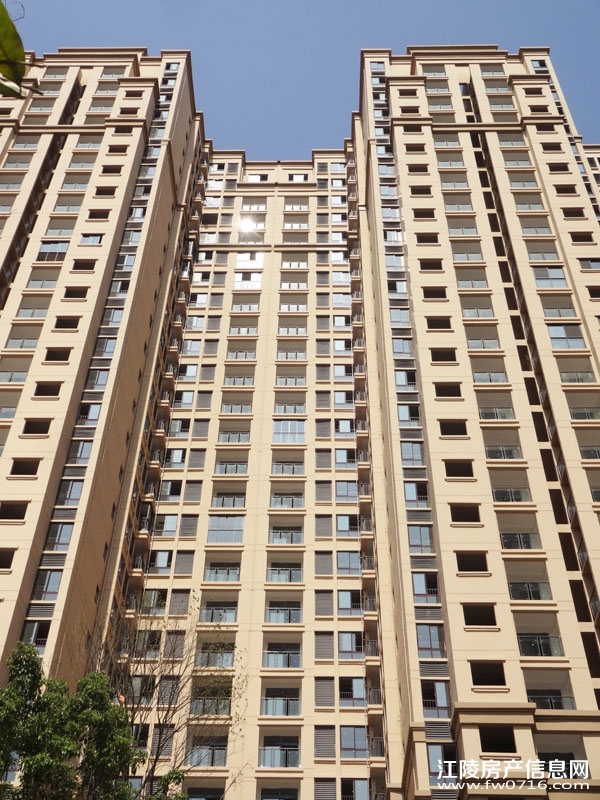 �������ݽ����Ѩ�Ͱ�����뵺