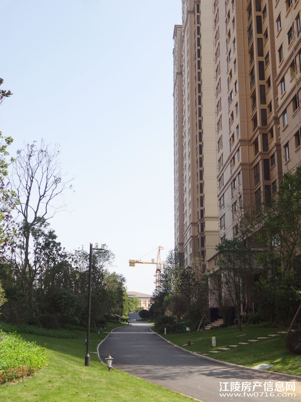 �������ݽ����Ѩ�Ͱ�����뵺