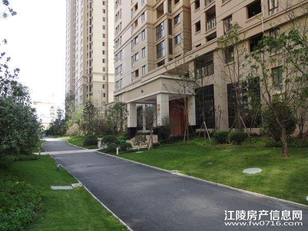 �������ݽ����Ѩ�Ͱ�����뵺