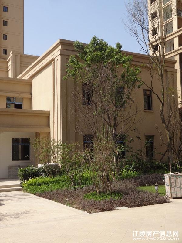 �������ݽ����Ѩ�Ͱ�����뵺