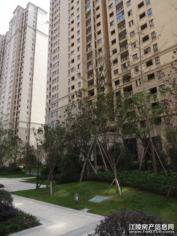 �������ݽ����Ѩ�Ͱ�����뵺