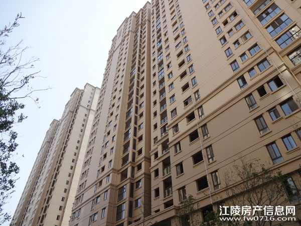 �������ݽ����Ѩ�Ͱ�����뵺