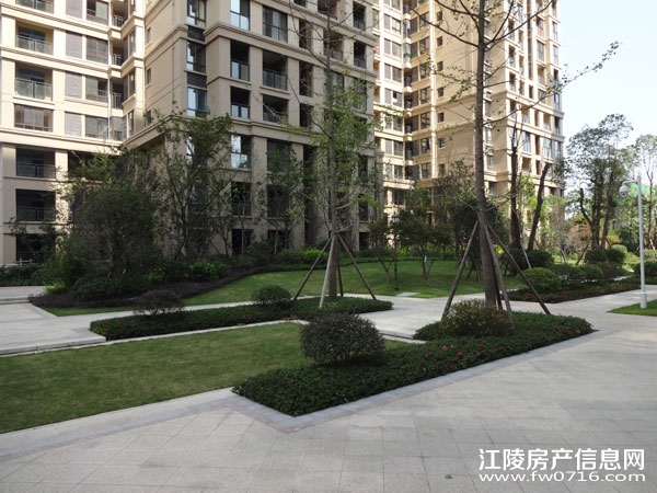 �������ݽ����Ѩ�Ͱ�����뵺