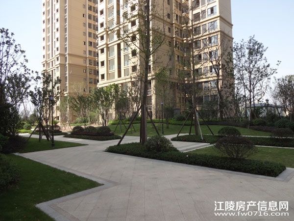 �������ݽ����Ѩ�Ͱ�����뵺