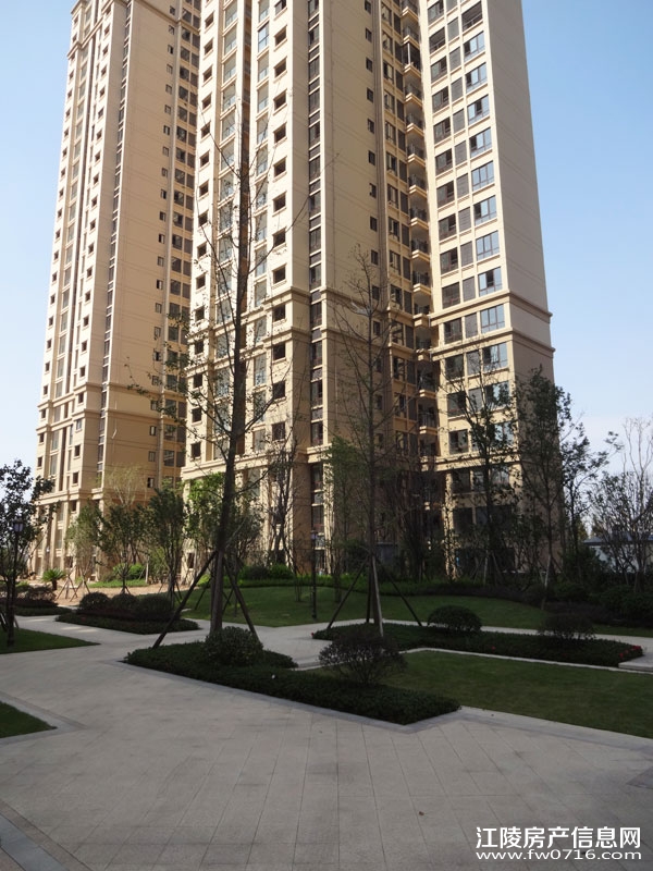 �������ݽ����Ѩ�Ͱ�����뵺