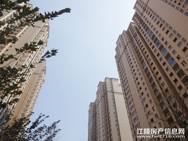 �������ݽ����Ѩ�Ͱ�����뵺