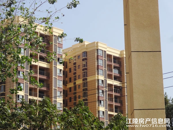 �����Ѩ���⻪��¥��