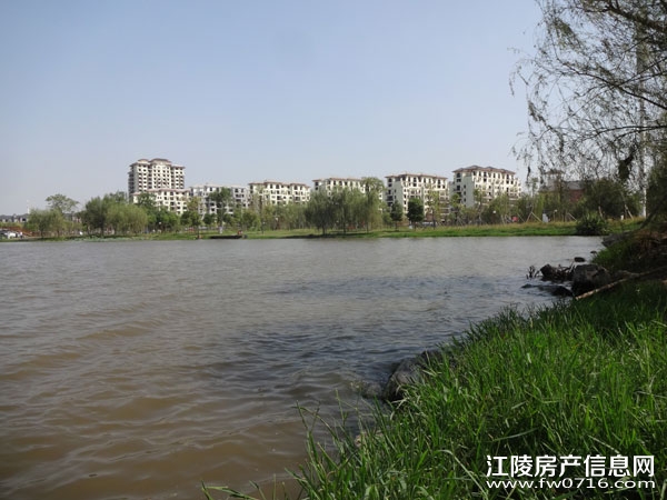 ������Ԩ����԰���� �������ݽ���������