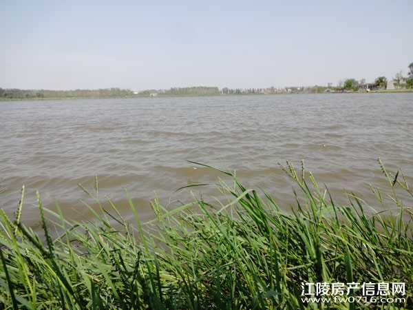 ������Ԩ����԰���� �������ݽ���������