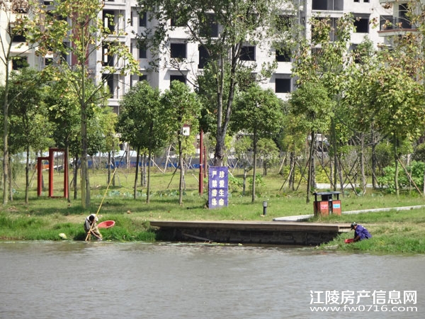 ������Ԩ����԰���� �������ݽ���������