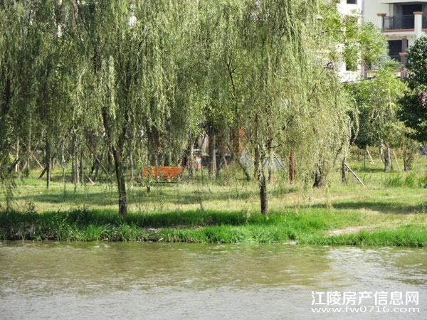 ������Ԩ����԰���� �������ݽ���������