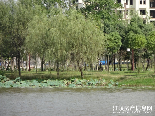 ������Ԩ����԰���� �������ݽ���������