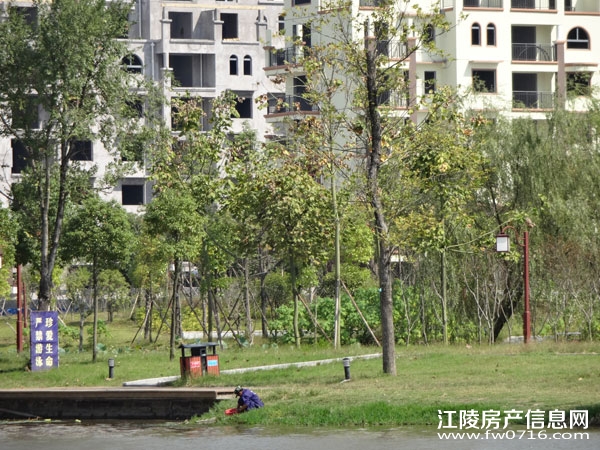 ������Ԩ����԰���� �������ݽ���������