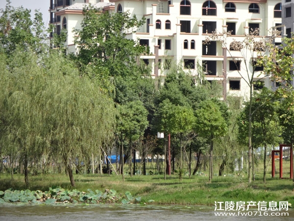 ������Ԩ����԰���� �������ݽ���������