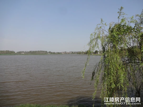 ������Ԩ����԰���� �������ݽ���������