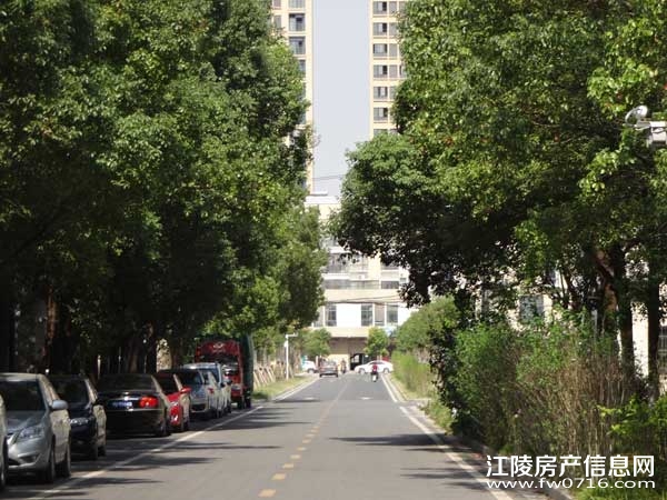 �������ݽ����Ѩ�Ͱ�����뵺